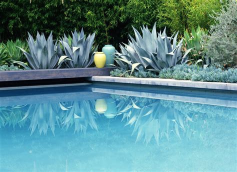 What to Consider Before Landscaping by an Inground Swimming Pool