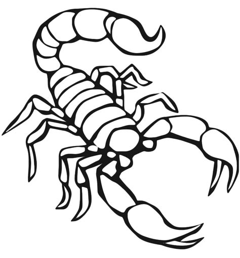 Scorpions Drawing at GetDrawings | Free download