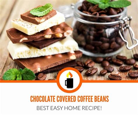 Best Chocolate Covered Coffee Beans (Easy Recipe!) | Majesty Coffee School