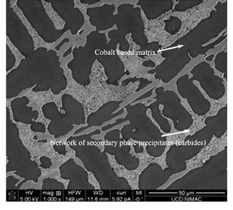 SEM image of the high carbide microstructure. | Download Scientific Diagram