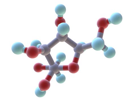 Diagram Of Monosaccharides