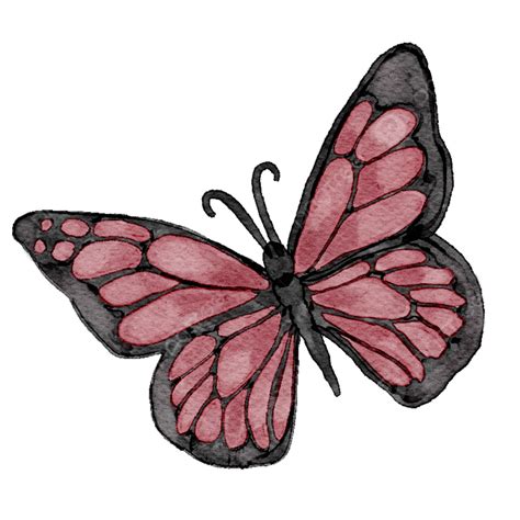 Watercolor Paper Texture White Transparent, Watercolor Butterfly With ...