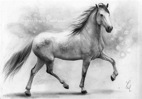 Horse II. by Thubakabra on DeviantArt