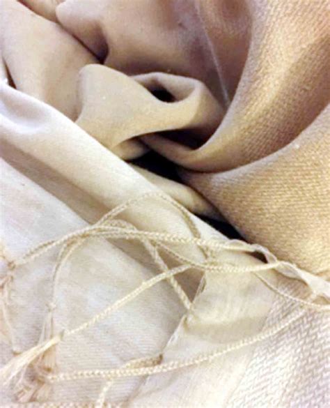 Potential for Eri Silk Production in U’khand | Garhwal Post