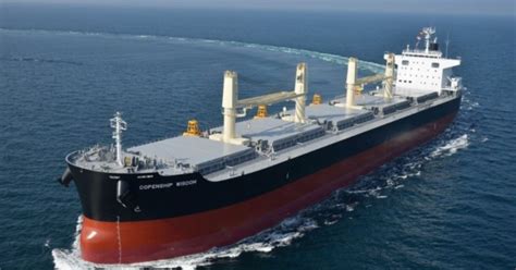 Dry bulk shipping rates are surging and the rally isn’t over - Maritime Gateway