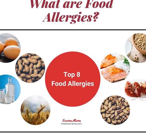 What Are Food Allergies? - Allergy, Asthma & Sinus Center, P.C.