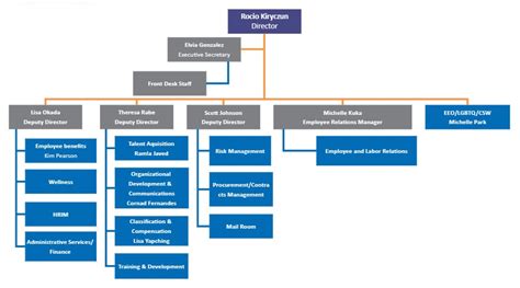 HR Organization Structure Chart (Examples Types) SSR, 56% OFF