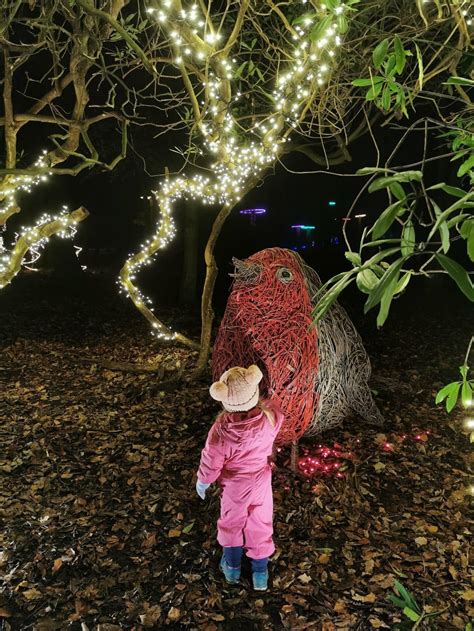 Christmas at Gibside| Gibside Illuminated Trail 2023 - Mini Travellers - Family Travel & Family ...