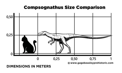 An Ultimate Guide to Compsognathus: The Pretty Jaw