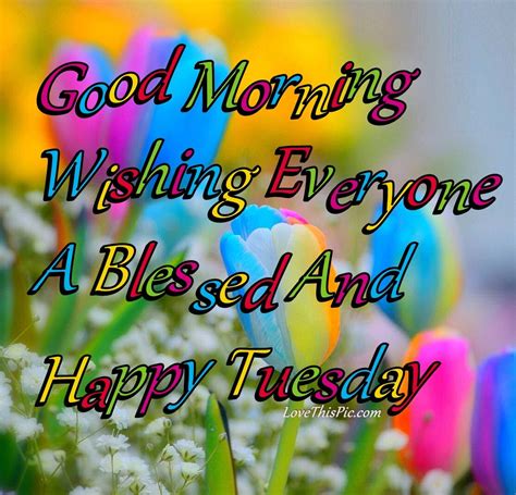 Good Morning Everyone Have A Blessed Tuesday Pictures, Photos, and ...