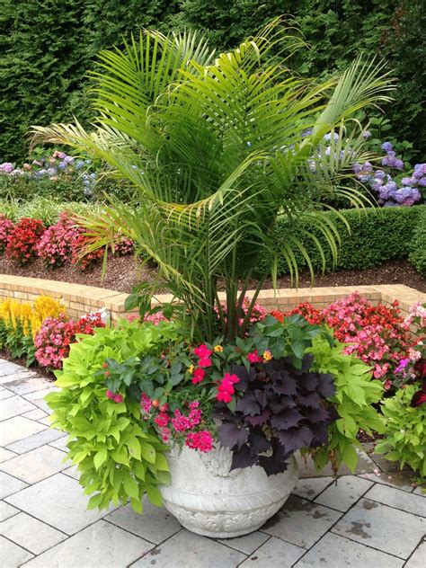 25 Best DIY Cascading Planter Box Flowers | container plantings | Pool plants, Tropical patio ...