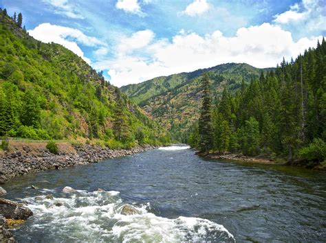 Clearwater River From Split Creek Trailhead On Scenic Byway 12 In Idaho ...