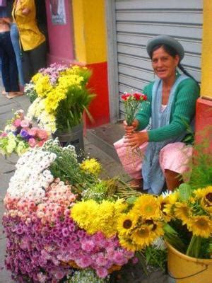 Expat Stories: I Fell in Love With the Country and the Culture. Tarija Just Felt Like Home.