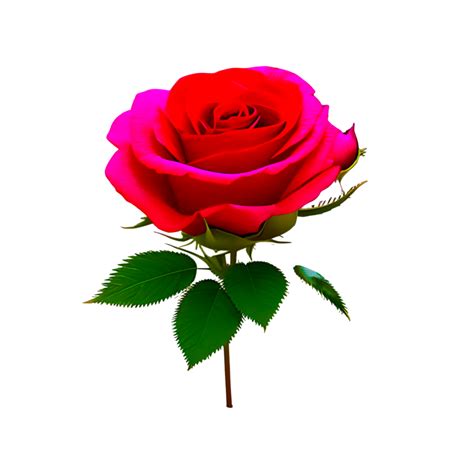 Natural Red Rose Flower 22179460 PNG