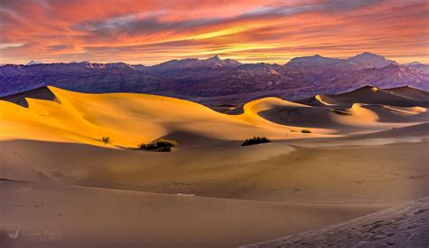 Sunrise at the Dunes - Morning scene among the sand dunes. | The dunes ...