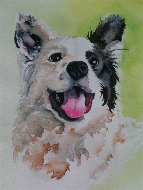 Border Collie Watercolor at PaintingValley.com | Explore collection of ...