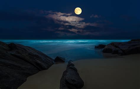 Beach At Night Backgrounds Free Download