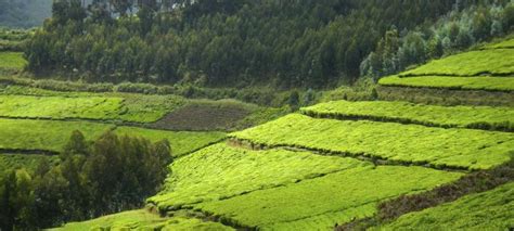 Rwanda | Green Climate Fund