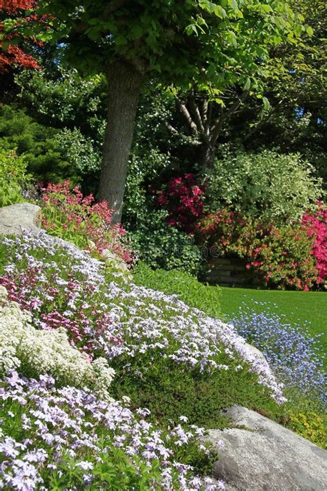 Rock garden stock photo. Image of park, floral, flow - 18365458