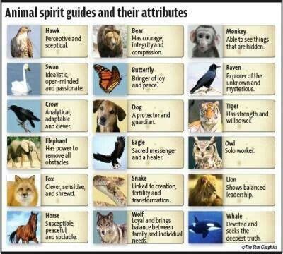 Animal Spirit Guide | Animal spirit guides, Your spirit animal, Spirit guides