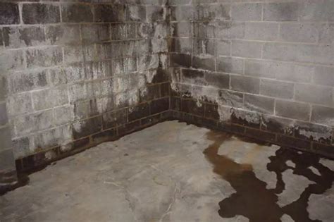 Fix for Basement Leak Near Chimney » The Money Pit