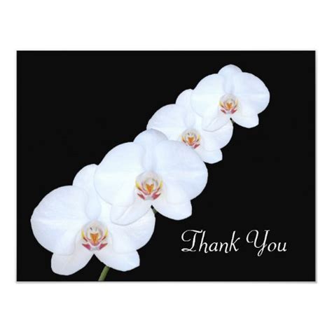 White Orchids Thank You Card | Zazzle
