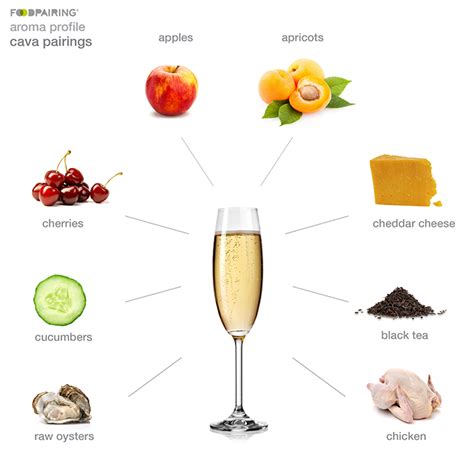 Ring in the New Year with cava! | Foodpairing / blog