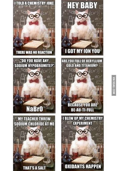 Chemisty Cat Jokes Compilation | Chemistry jokes, Nerd jokes, Nerdy jokes