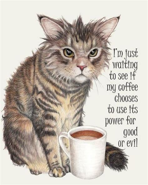 Coffee Humor To Start Your Day with Funny Images, Quotes, and Memes