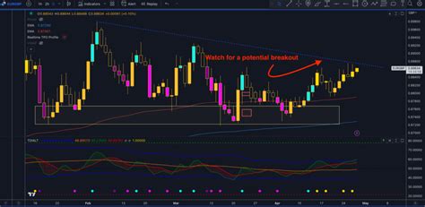 Expectations for the ECB Meeting After Key Inflation Data - Trader Summit