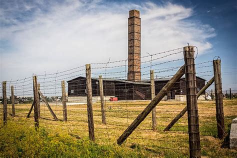 Majdanek Concentration Camp Pictures, Images and Stock Photos - iStock