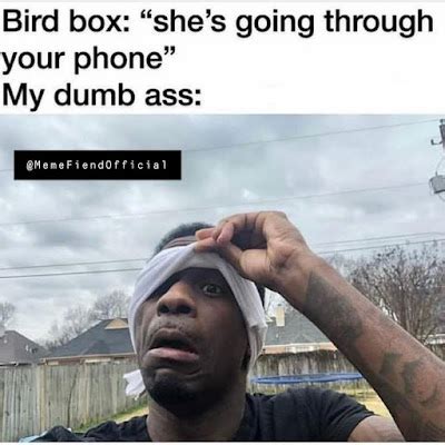 Trending Stories of World: Why are Bird Box memes so popular? It’s ...