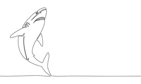 Shark Line Drawing Vector Art, Icons, and Graphics for Free Download