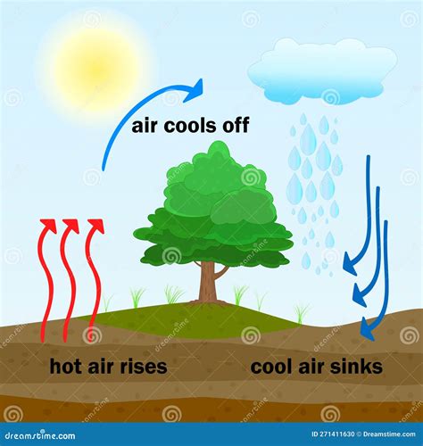 Convection Process Diagram. Warm Air Rises and Cool Air Sinks. Stock Vector - Illustration of ...