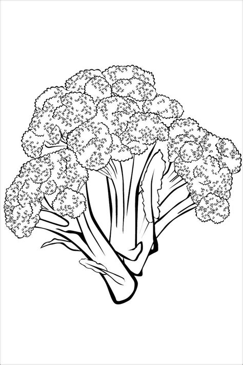 Broccoli Coloring Pages - Best Coloring Pages For Kids | Coloring pages, Coloring pages for kids ...