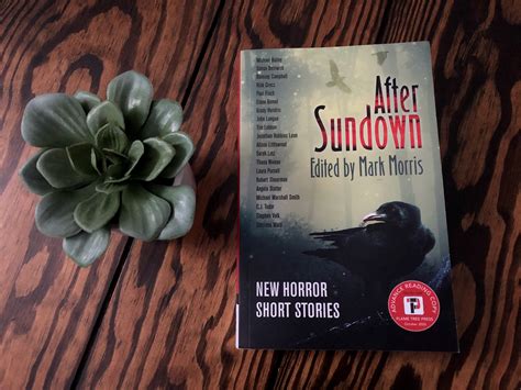 [Book Review] After Sundown edited by Mark Morris - Erica Robyn Reads