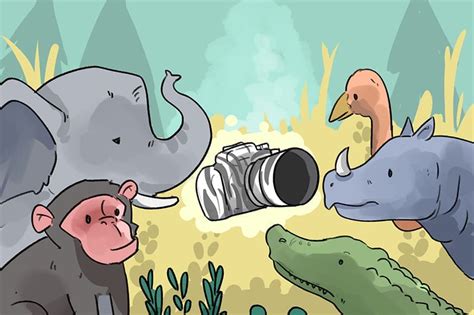 6 Best Cameras for Wildlife Photography in 2024