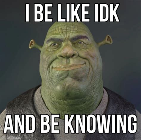 I Be Like IDK And Be Knowing meme | I Be Like IDK And Be Knowing | Know Your Meme