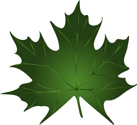 Free Maple Leaf Cliparts, Download Free Maple Leaf Cliparts png images ...