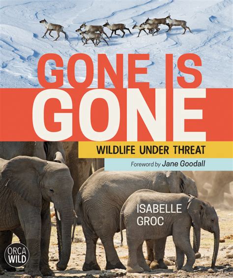 GONE IS GONE book released September 2019 | Isabelle Groc