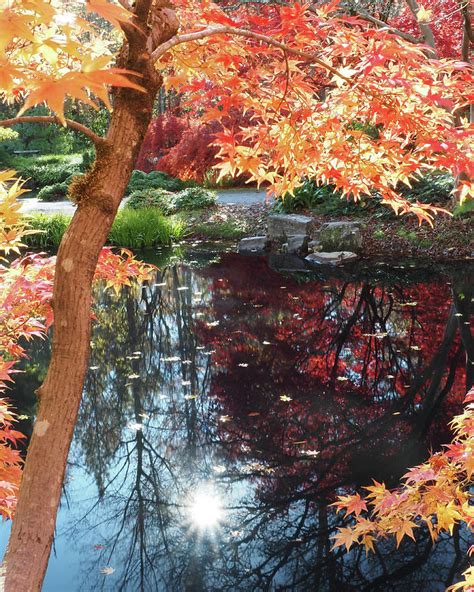 Fall in Gibbs Gardens, GA Photograph by Linda Russell - Pixels