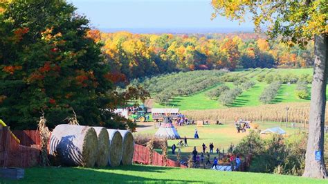 Mapleside Farms pumpkin village reopen fall 2020 | wkyc.com