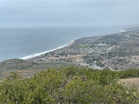 Soothing Morning: Hiking in Crystal Cove State Park - Deven Pravin Shah