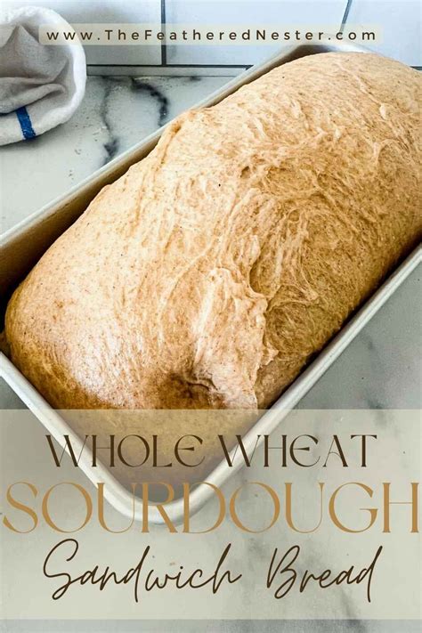 Whole wheat sourdough starter recipe – Artofit