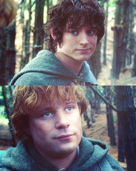 Frodo & Sam -- love their friendship! | The hobbit, Lord of the rings ...