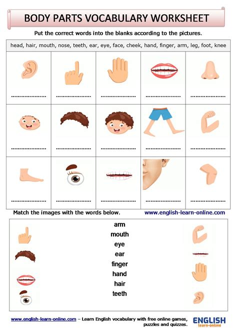 Pin on ENGLISH VOCABULARY WORKSHEETS