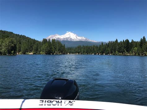 Lake Siskiyou Camp Resort | The Dyrt