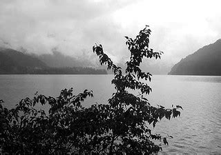 Lake Crescent, Washington State | Lake Crescent is a deep la… | Flickr