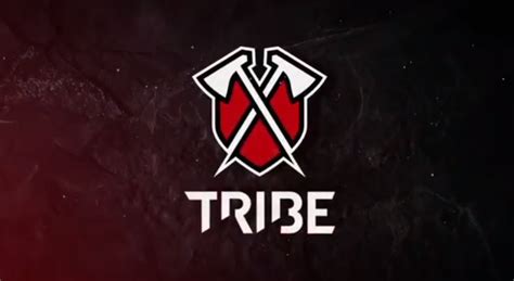 Tribe Gaming's director of esports accused of rape by former girlfriend - Dot Esports