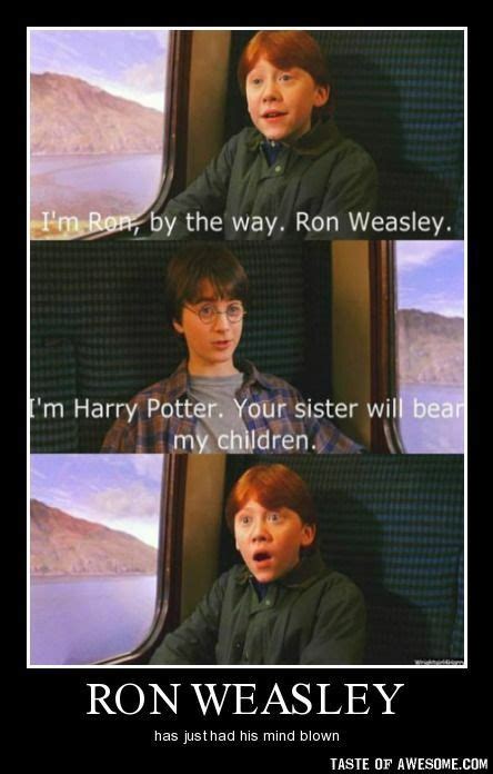 Ron Weasley Memes | Harry Potter Amino